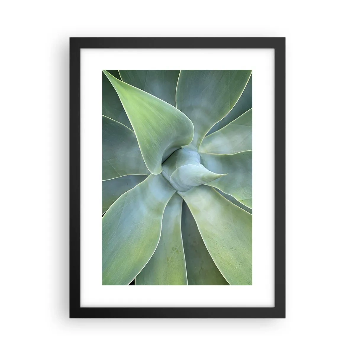 Poster in cornice nera - La nascita del verde - 30x40 cm
