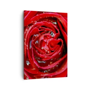 Quadro su tela - Stampe su Tela - Primo piano di una rosa rossa con gocce d'acqua sui petali - 50x70cm - Nelle gocce della rugiada - Decorazione murale moderna per soggiorno e camera da letto ARTTOR