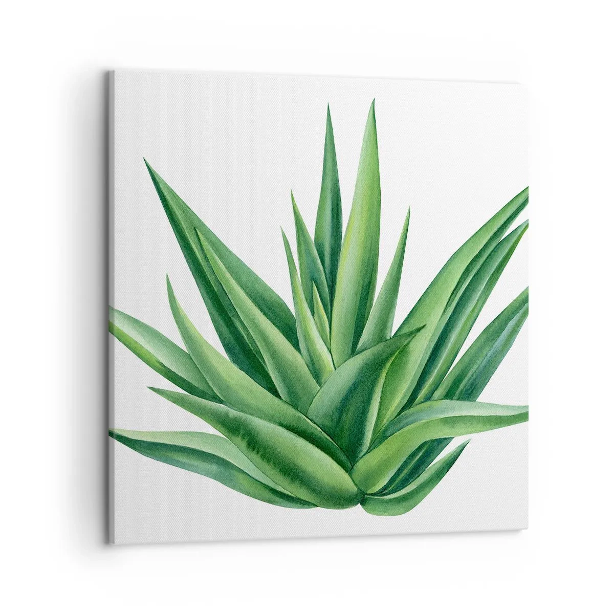 Quadro su tela - Stampe su Tela - Verde - forza - vita - 50x50 cm