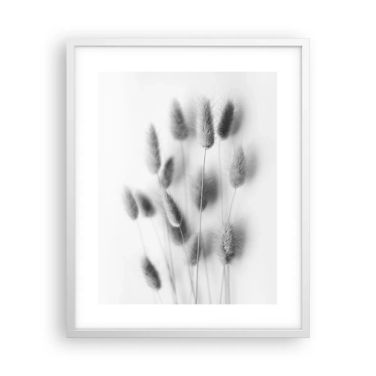 Poster in cornice bianca - Erba soffice - 40x50 cm