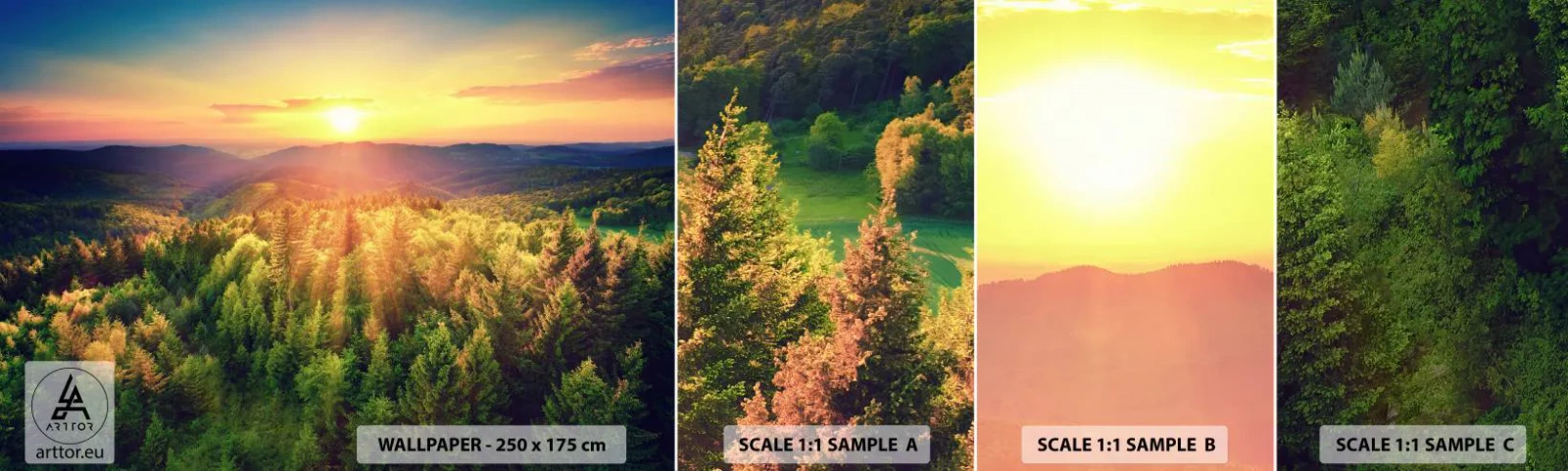 Campione di Fotomurale Adesivo Deluxe Sticker - Vette e cime - Paesaggio, foresta, Montagne - 100x30 cm