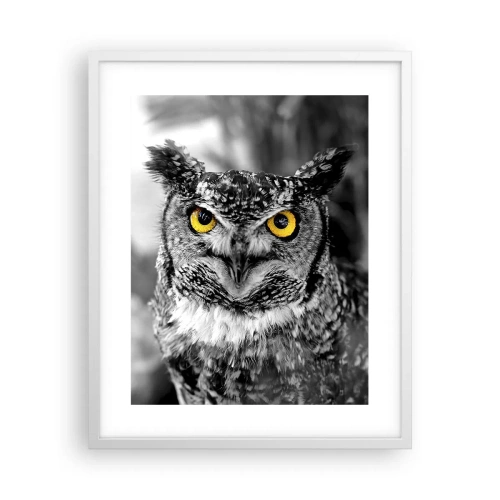 Poster in cornice bianca - Non si può nascondere niente - 40x50 cm