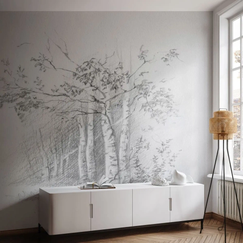 Fotomurali Autoadesivo Deluxe Sticker - La luce della foresta di betulle - foresta, Betulla, Alberi - 450x315 cm