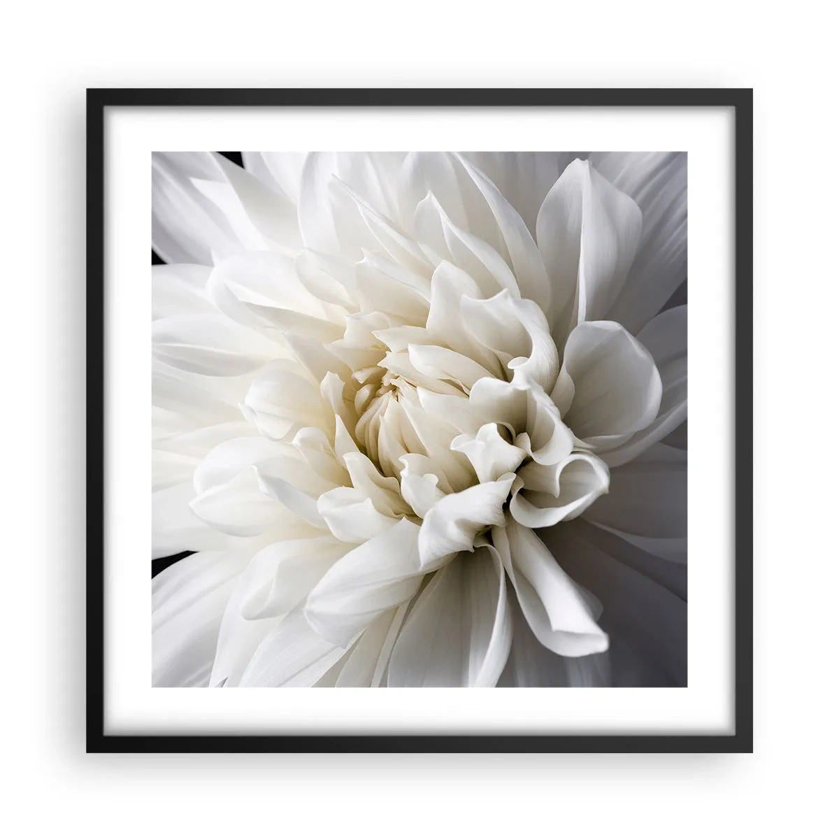 Poster in cornice nera - Il mattino della sposa - 50x50 cm