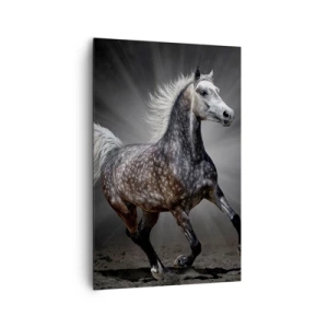 Quadro su tela - Stampe su Tela - Un cavallo bianco al galoppo su uno sfondo scuro - 80x120cm - Grigio è bello - Decorazione murale moderna per soggiorno e camera da letto ARTTOR