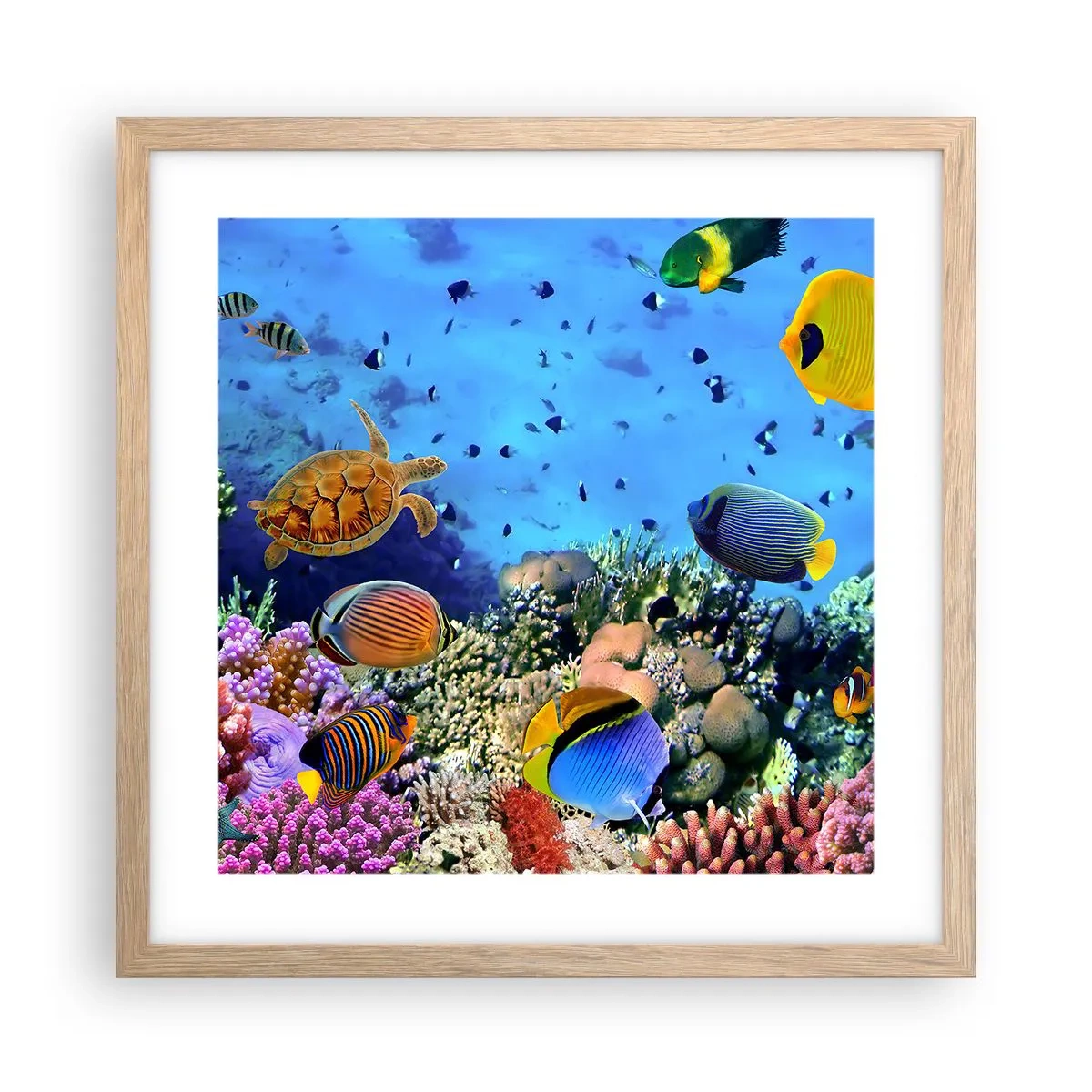 Poster in cornice rovere chiaro - Ma cosa sappiamo della vita... - 40x40 cm