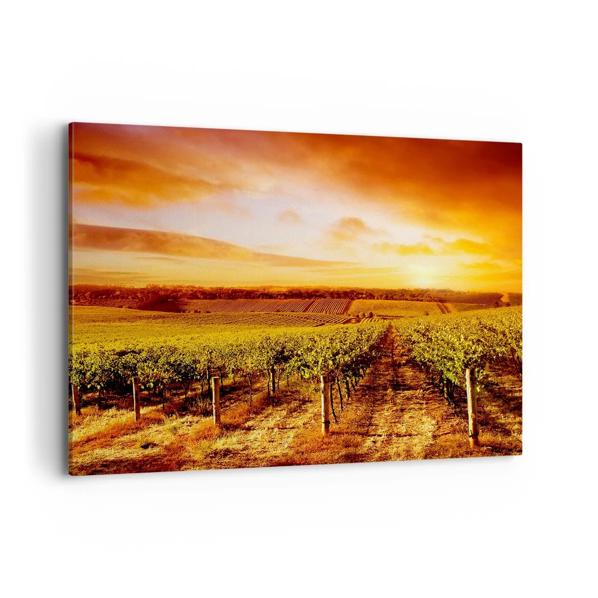 Quadro su tela - Stampe su Tela - Vigneto al tramonto con toni caldi del cielo - 100x70cm - Profumo di frutta con una nota di sole - Decorazione murale moderna per soggiorno e camera da letto ARTTOR