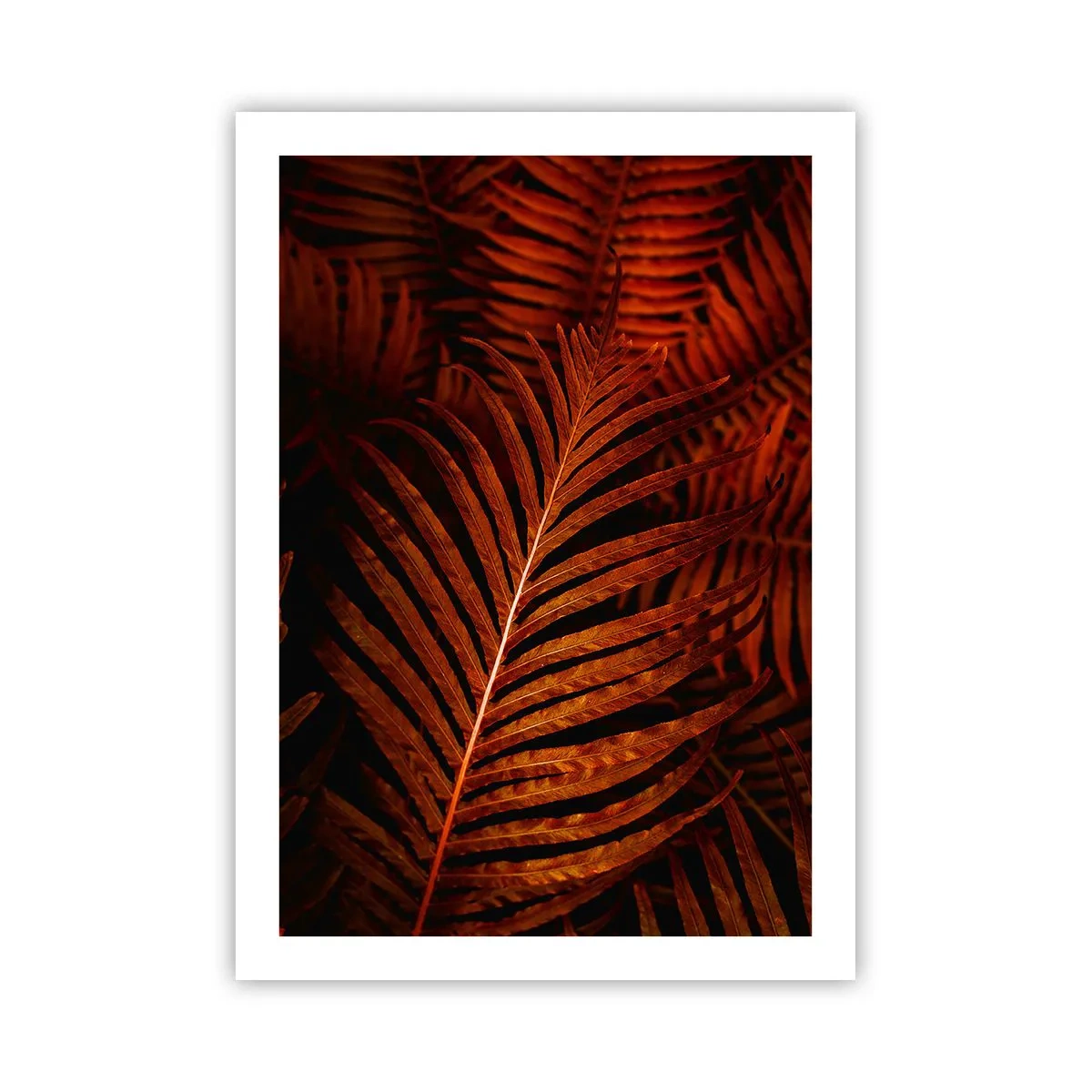 Poster - Foglie di palma rosse in illuminazione artistica - 50x70cm - Il calore della vita - Decorazione murale moderna per soggiorno e camera da letto ARTTOR