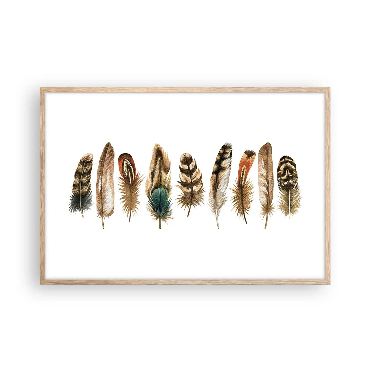 Poster in cornice rovere chiaro - Composizione di piume - 91x61 cm