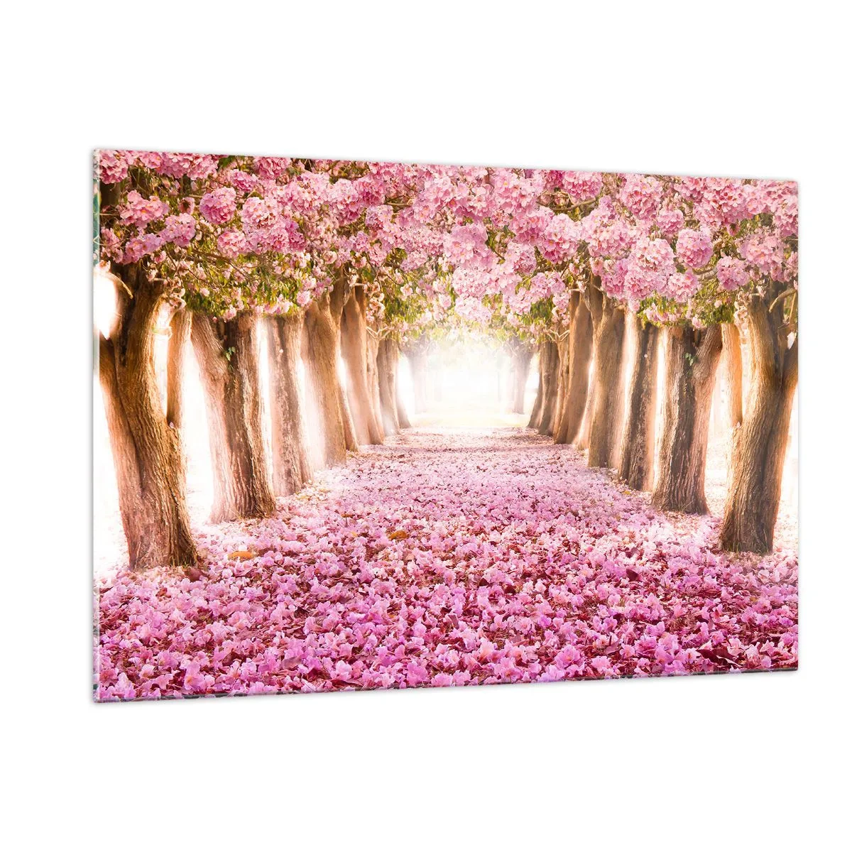 Quadro su vetro - Un viale di alberi in fiore con petali rosa sul terreno - 120x80cm - La strada verso il paradiso - Decorazione murale moderna per soggiorno e camera da letto ARTTOR
