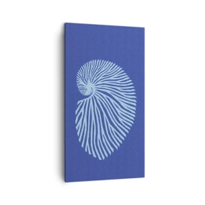 Quadro su tela - Stampe su Tela - La nascita della conchiglia - 45x80 cm