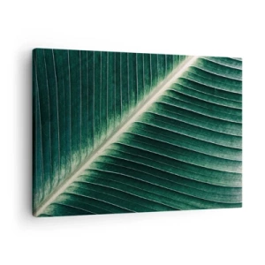 Quadro su tela - Stampe su Tela - Primo piano della struttura di una foglia verde - 70x50cm - Il ritmo della natura - Decorazione murale moderna per soggiorno e camera da letto ARTTOR