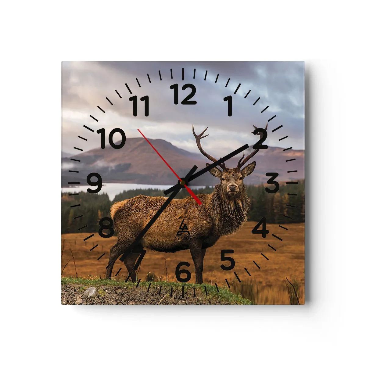 Orologio da parete - Orologio in Vetro - Maestà della natura - 40x40 cm