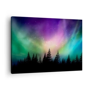 Quadro su tela - Stampe su Tela - Aurora boreale su una foresta con cielo stellato - 70x50cm - Magia bianca - Decorazione murale moderna per soggiorno e camera da letto ARTTOR