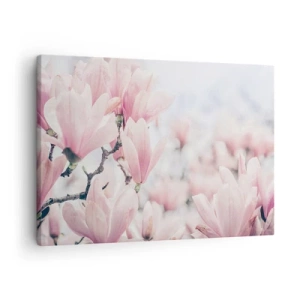 Quadro su tela - Stampe su Tela - Delicati fiori di magnolia in delicate tonalità rosa - 70x50cm - Ideale di delicatezza - Decorazione murale moderna per soggiorno e camera da letto ARTTOR