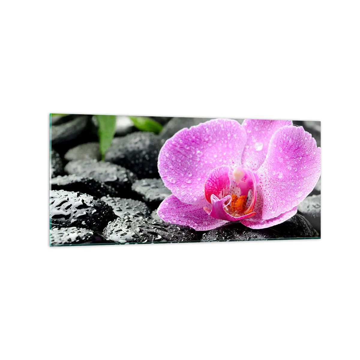 Quadro su vetro - Orchidea rosa su pietre nere bagnate con foglie verdi - 120x50cm - Come un cuore aperto - Decorazione murale moderna per soggiorno e camera da letto ARTTOR
