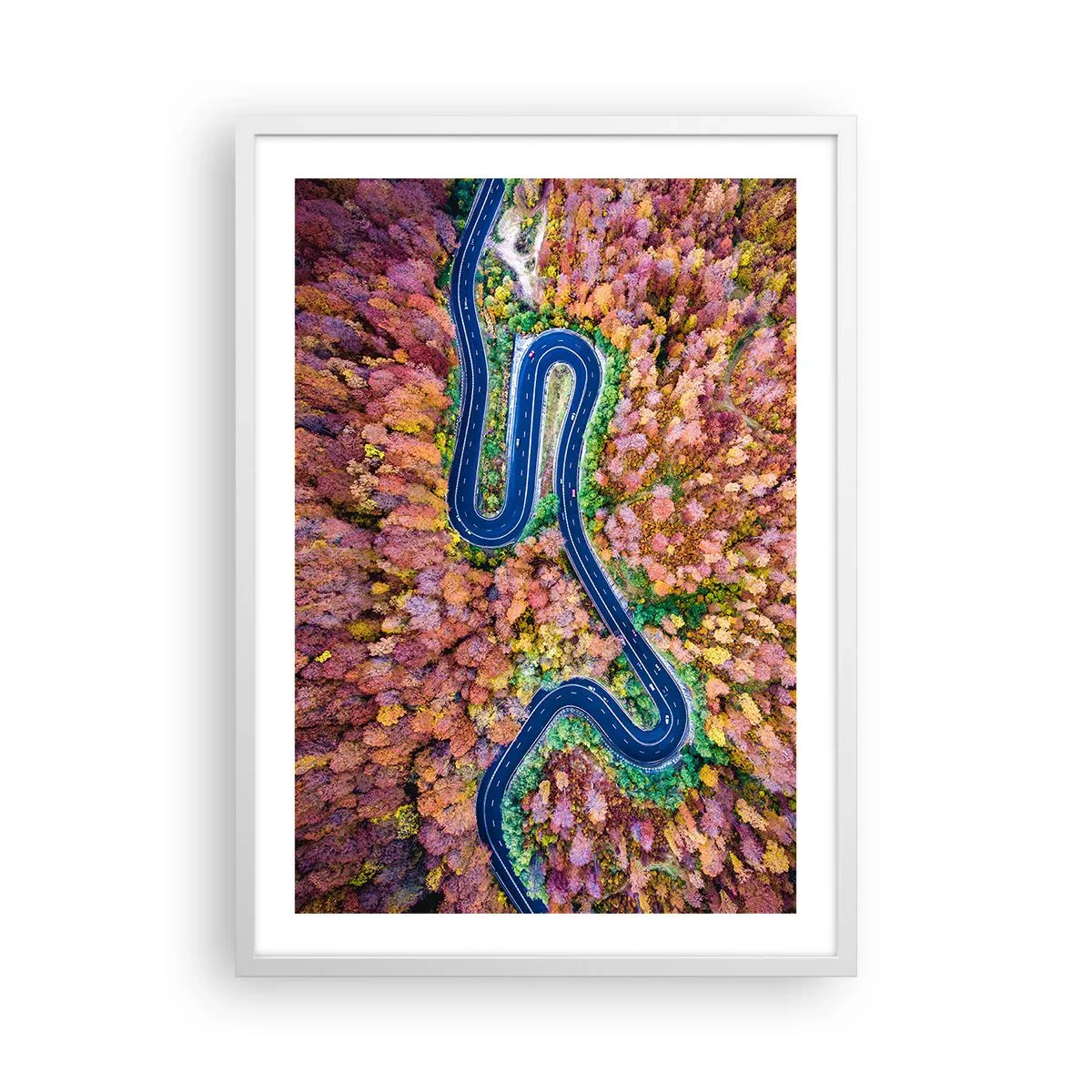 Poster in cornice bianca - Via tortuosa attraverso il bosco - 50x70 cm