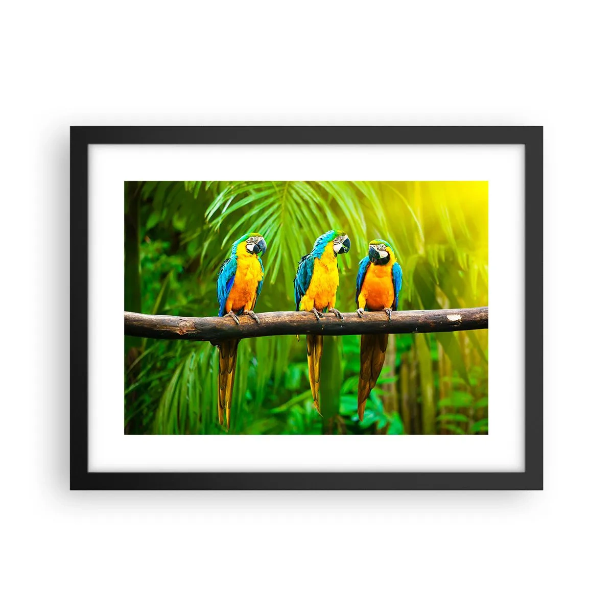 Poster in cornice nera - Hai sentito che ha fatto? - 40x30 cm