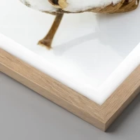 Rovere chiaro