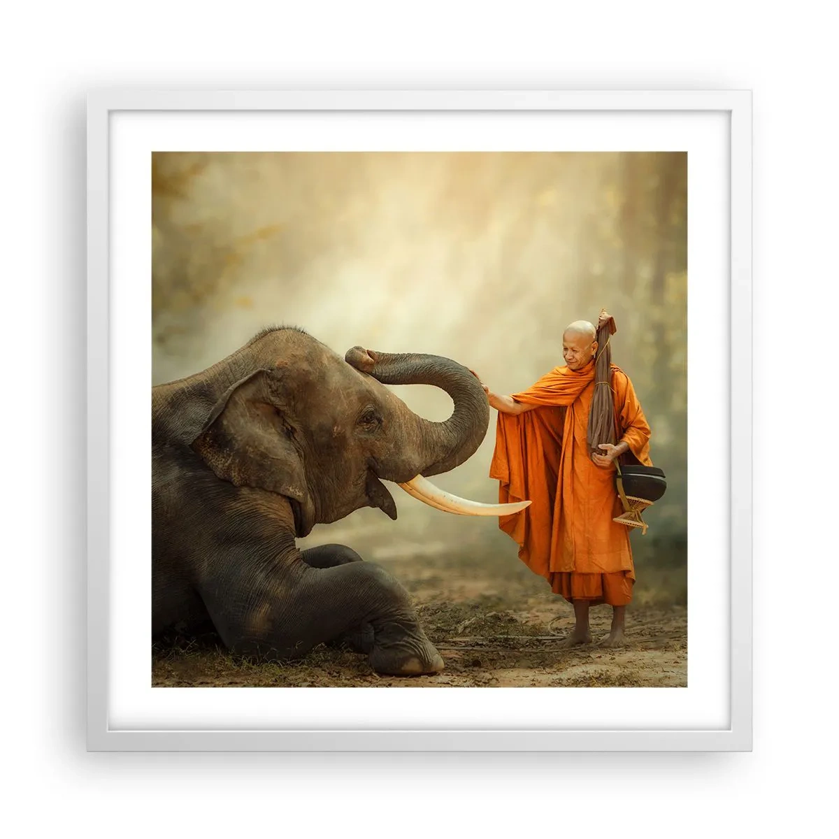 Poster in cornice bianca - Incontro nel viaggio - 50x50 cm