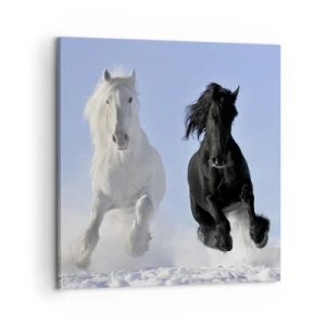 Quadro su tela - Stampe su Tela - Galoppo in bianco e nero - 60x60 cm