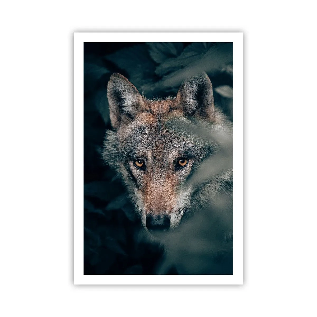 Poster - Cacciatore - 61x91 cm