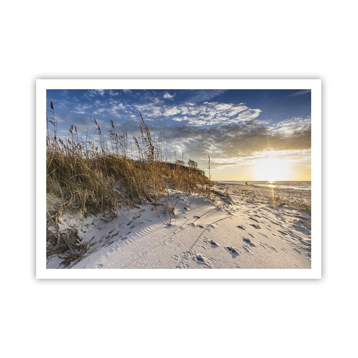 Poster - Dune con erba e impronte nella sabbia al tramonto - 100x70cm - Invito a passeggiare - Decorazione murale moderna per soggiorno e camera da letto ARTTOR