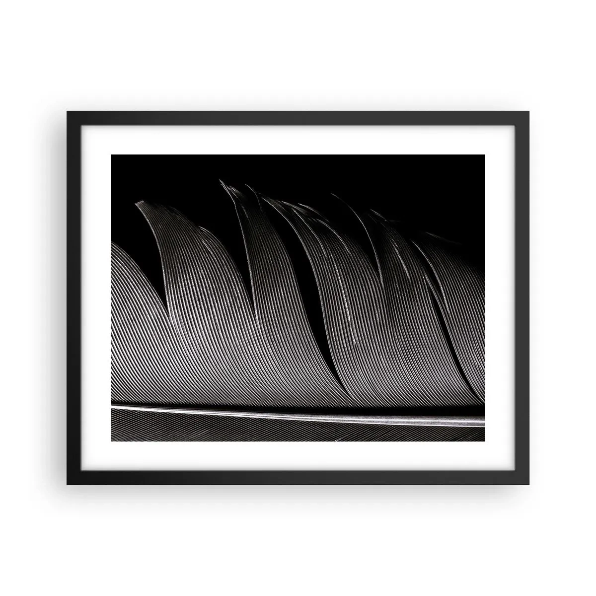 Poster in cornice nera - Piuma: struttura meravigliosa - 50x40 cm