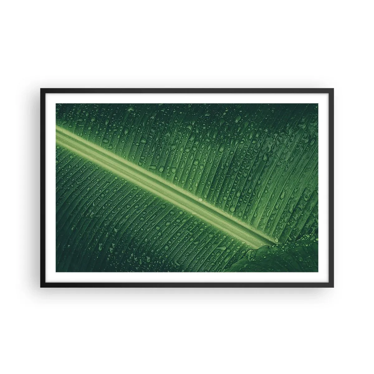 Poster in cornice nera - La struttura del verde - 91x61 cm