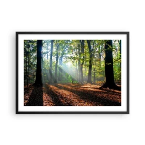 Poster in cornice nera - Una radura della foresta illuminata dai raggi del sole - 70x50cm - Luci e ombre - Decorazione murale moderna per soggiorno e camera da letto ARTTOR
