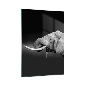 Quadro su vetro - Ritratto in bianco e nero di un elefante con proboscide - 50x70cm - Si, adesso va bene - Decorazione murale moderna per soggiorno e camera da letto ARTTOR