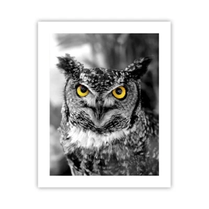 Poster - Non si può nascondere niente - 40x50 cm