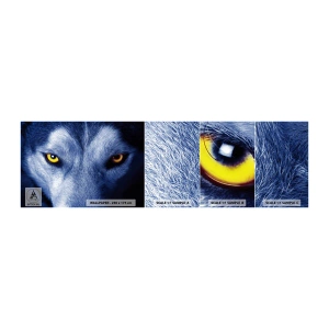 Campione di Fotomurale Adesivo Deluxe Sticker - Sguardo ipnotico - Animali, Lupo, Occhi - 100x30 cm
