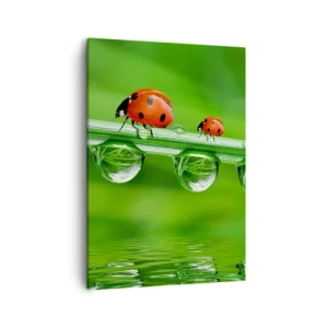 Quadro su tela - Stampe su Tela - Coccinelle su un filo d'erba con gocce di rugiada in un ambiente naturale - 50x70cm - In cammino per tutta l'estate - Decorazione murale moderna per soggiorno e camera da letto ARTTOR