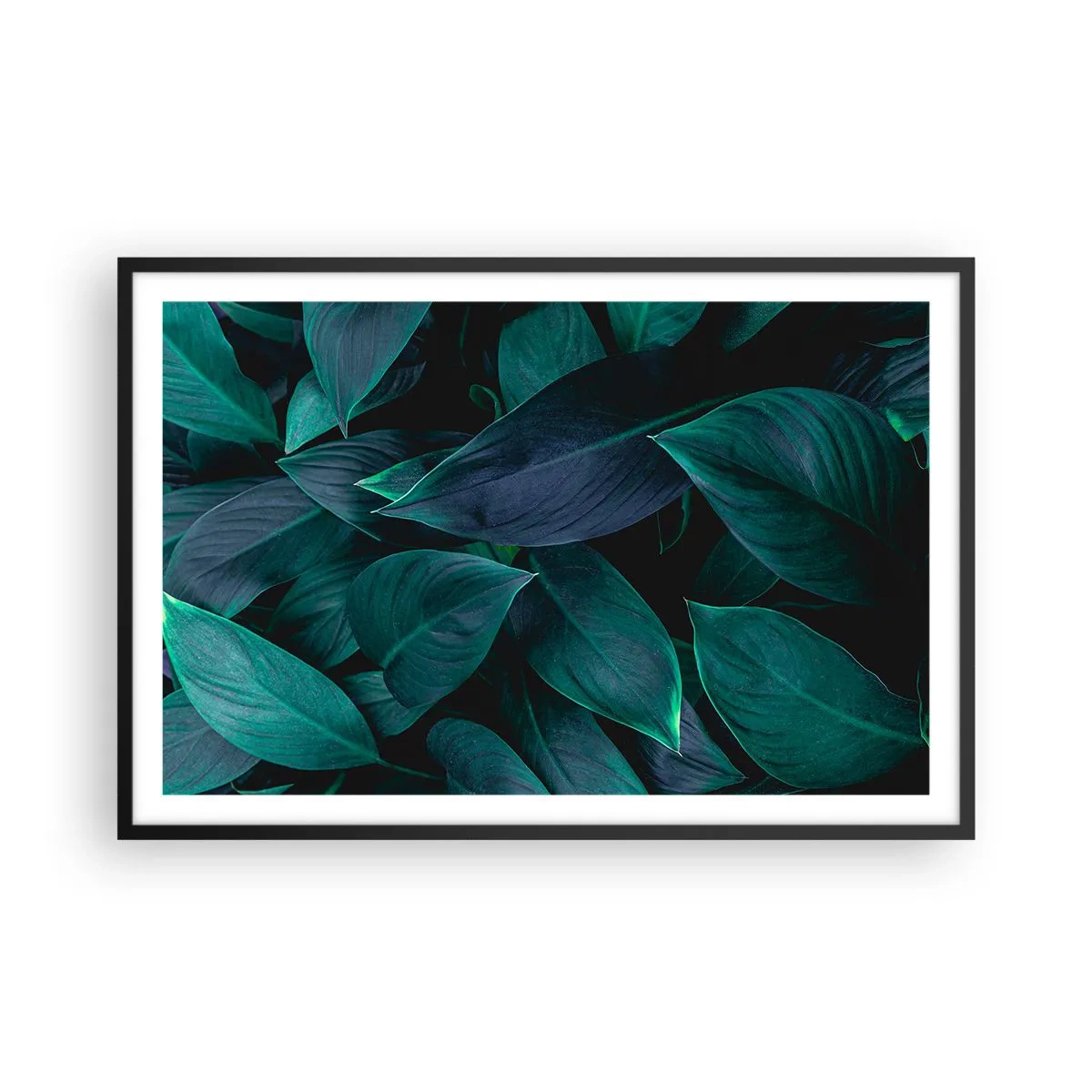 Poster in cornice nera - Il verde puro - 91x61 cm