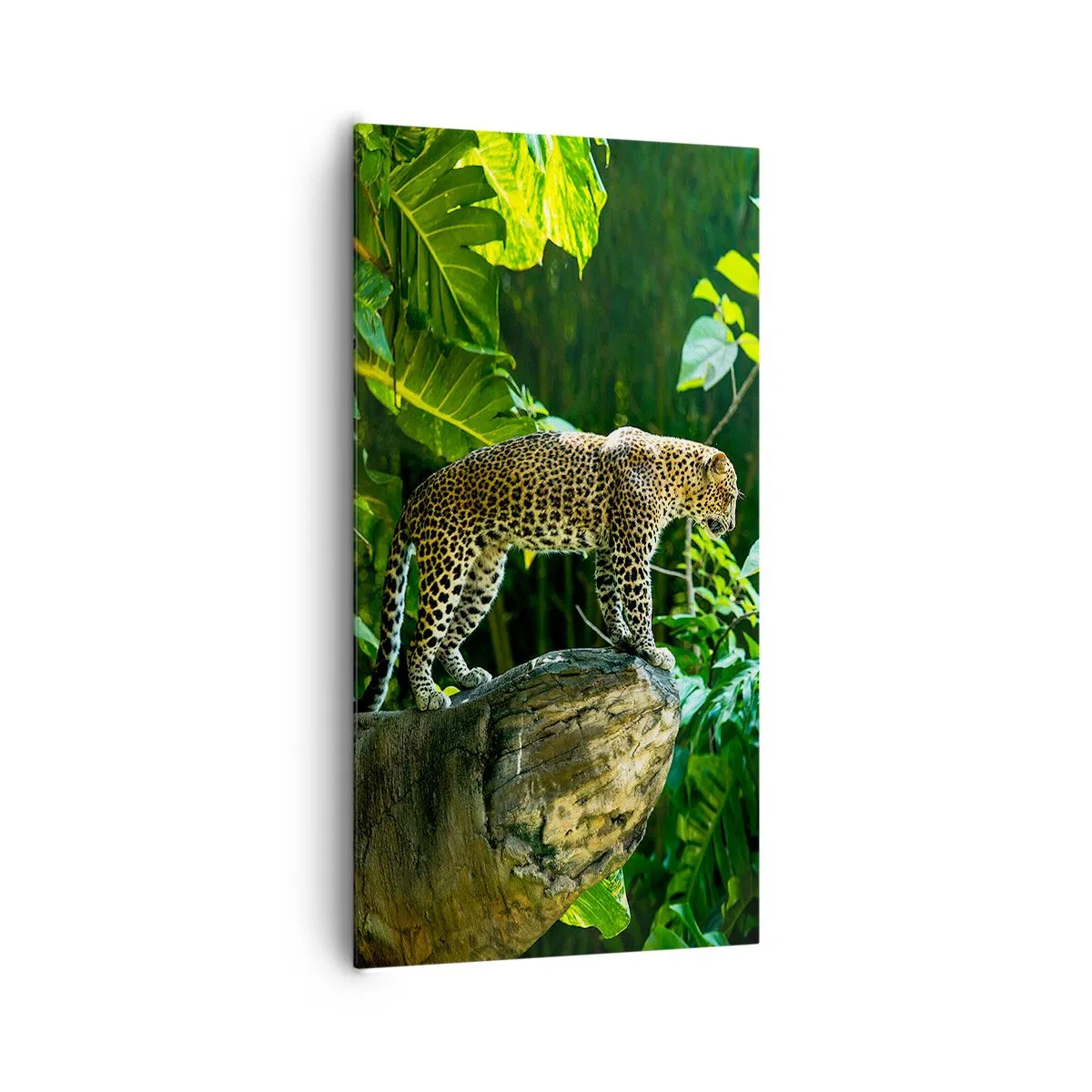 Quadro su tela - Stampe su Tela - A caccia? - 65x120 cm