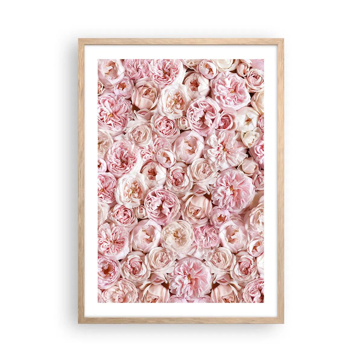 Poster in cornice rovere chiaro - Coperto di rose - 50x70 cm