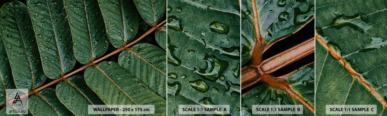 Campione di Fotomurale Adesivo Deluxe Sticker - Al ritmo verde - Foglie verdi, Pianta tropicale, Pezzo - 100x30 cm