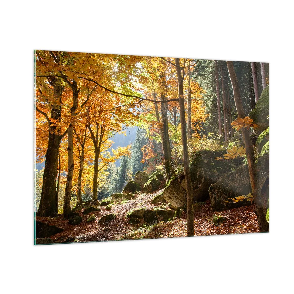 Quadro su vetro - Foresta autunnale con raggi di sole e pietre - 100x70cm - Il tempo del riposo - Decorazione murale moderna per soggiorno e camera da letto ARTTOR