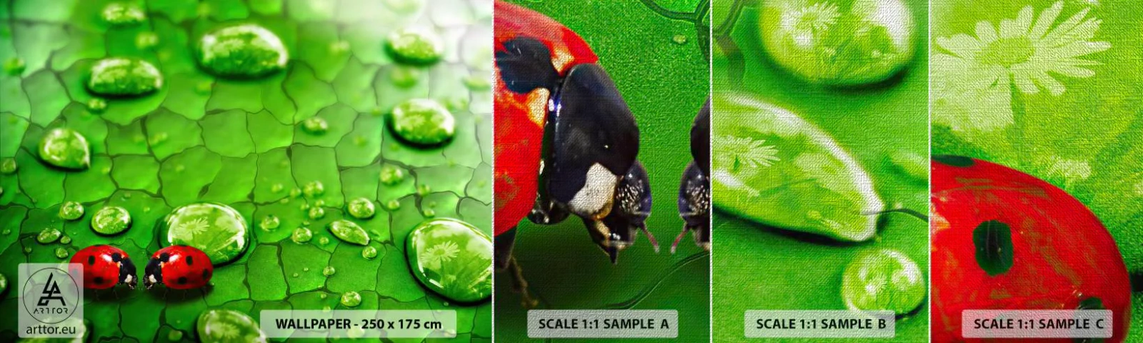 Campione di Fotomurale Premium Canvas - Incontro in verde - Natura, Coccinella, Una goccia d'acqua - 100x30 cm