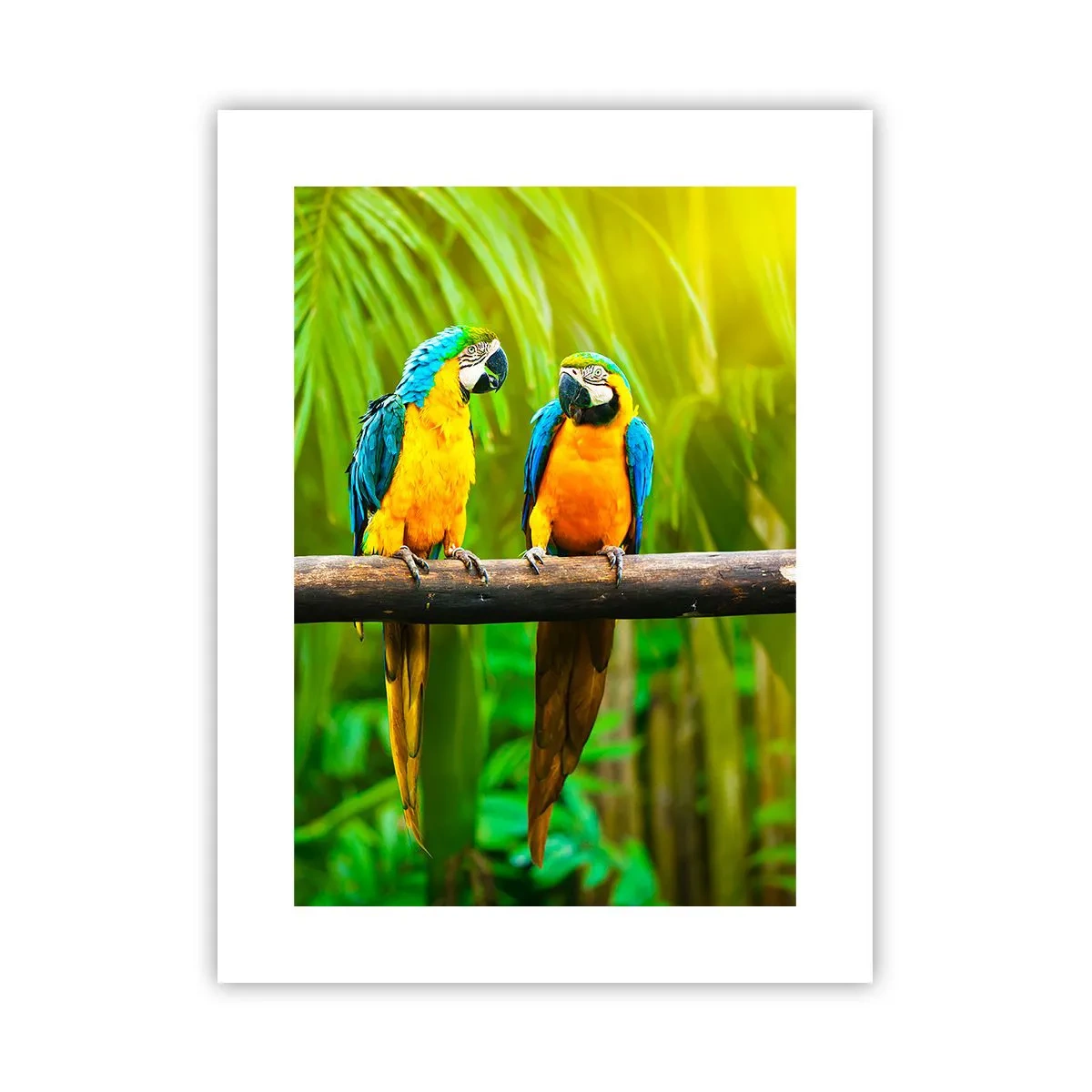 Poster - Hai sentito che ha fatto? - 30x40 cm