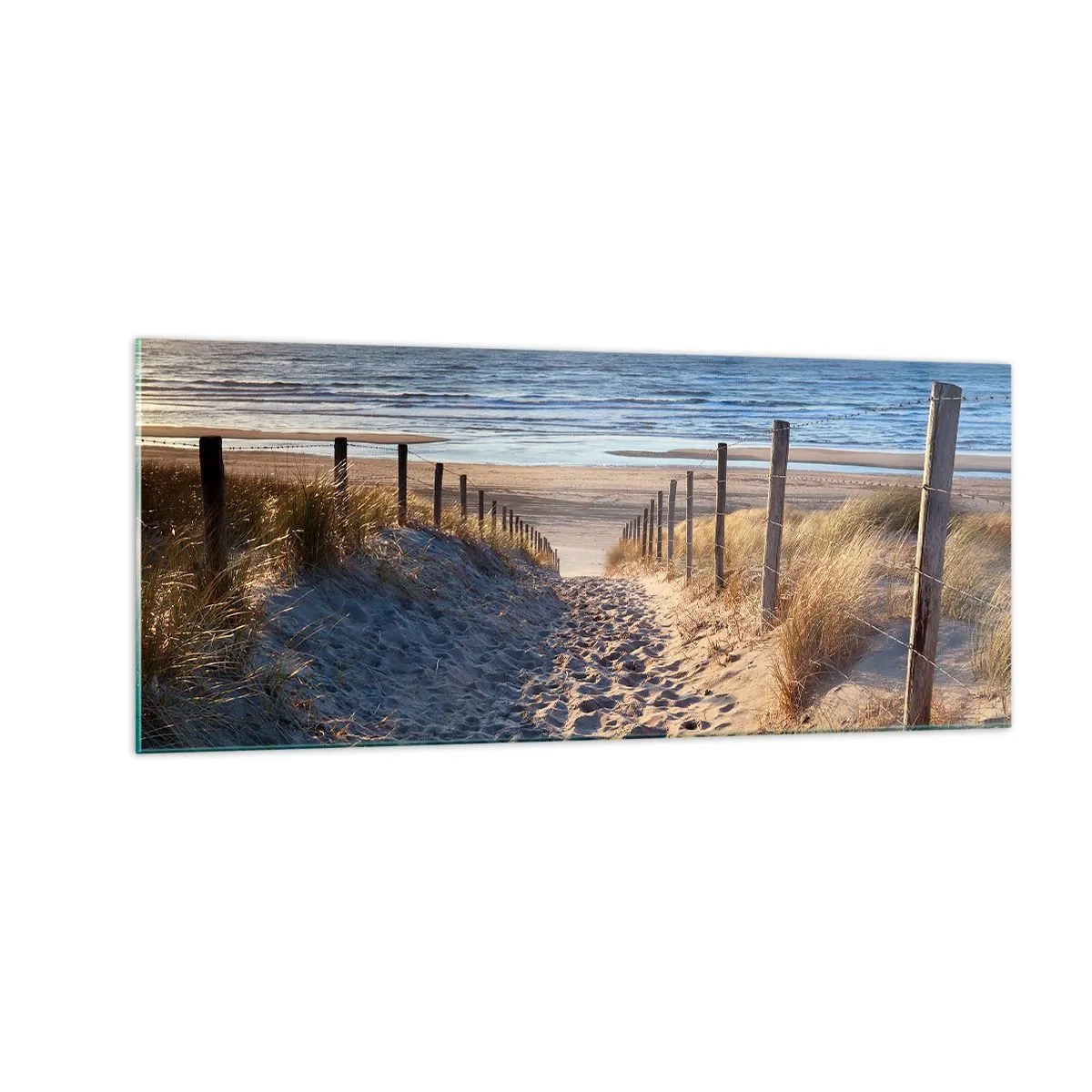 Quadro su vetro - Rumore del mare, uccelli che cantano, spiaggia selvatica tra i cespugli... - 100x40 cm