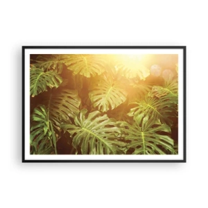 Poster in cornice nera - Foglie di Monstera alla luce del sole su uno sfondo naturale - 100x70cm - Entrando nel verde... - Decorazione murale moderna per soggiorno e camera da letto ARTTOR