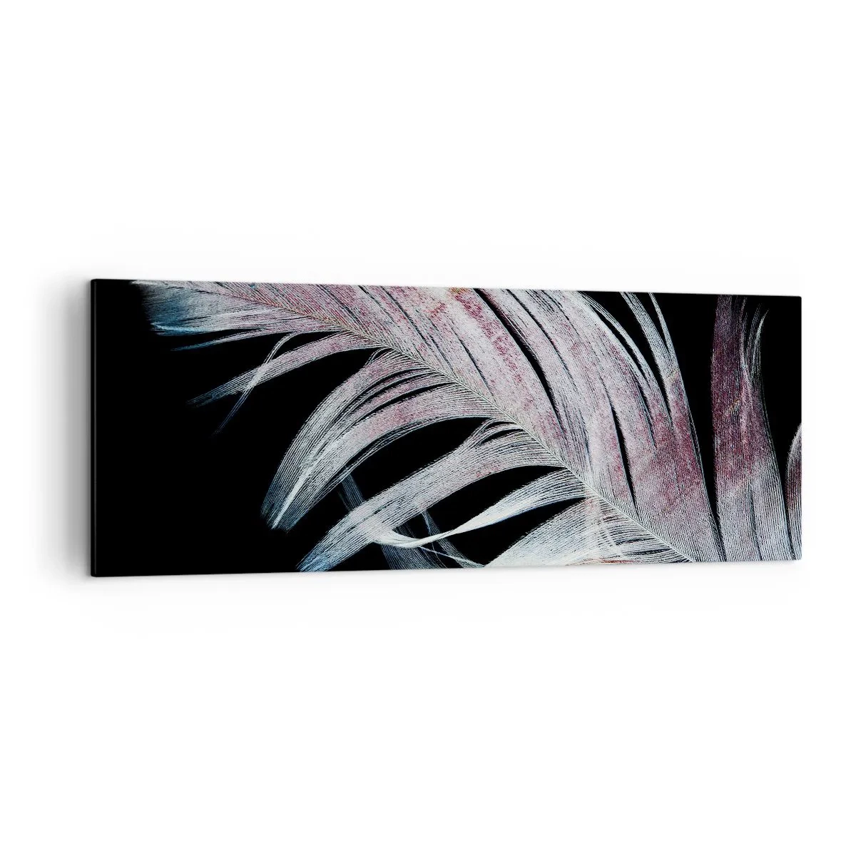 Quadro su tela - Stampe su Tela - Una piuma delicata su uno sfondo nero in un approccio artistico - 140x50cm - Pensa al tocco - Decorazione murale moderna per soggiorno e camera da letto ARTTOR
