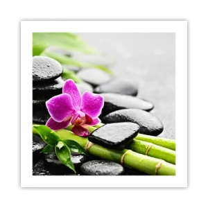 Poster - Un tranquillo equilibrio - 50x50 cm