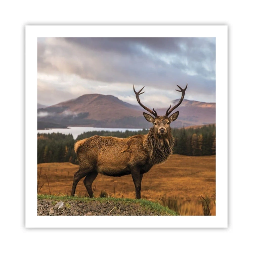 Poster - Maestà della natura - 60x60 cm