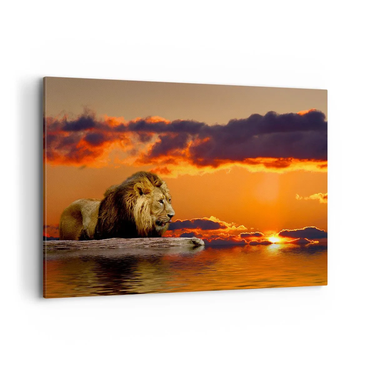 Quadro su tela - Stampe su Tela - Un leone riposa in riva all'acqua al tramonto, con un cielo spettacolare. - 120x80cm - Il re della natura - Decorazione murale moderna per soggiorno e camera da letto ARTTOR