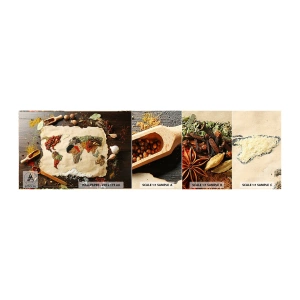 Campione Di Fotomurale Standard Eco - Tutti i gusti del mondo - Gastronomia, Mappa del mondo, Spezie secche - 100x30 cm