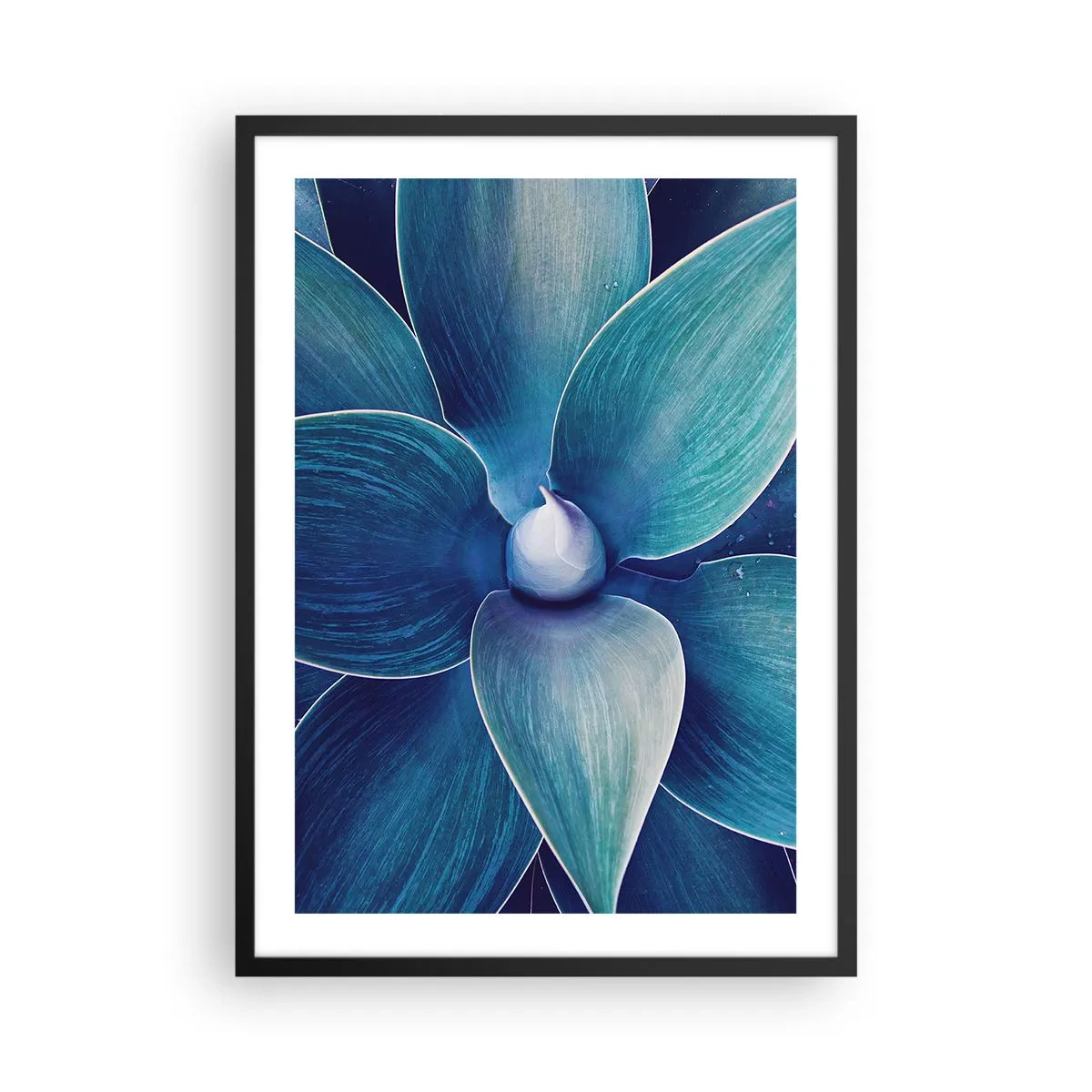 Poster in cornice nera - Particolare di un grande fiore nei toni del blu - 50x70cm - Imbluito dal sole - Decorazione murale moderna per soggiorno e camera da letto ARTTOR