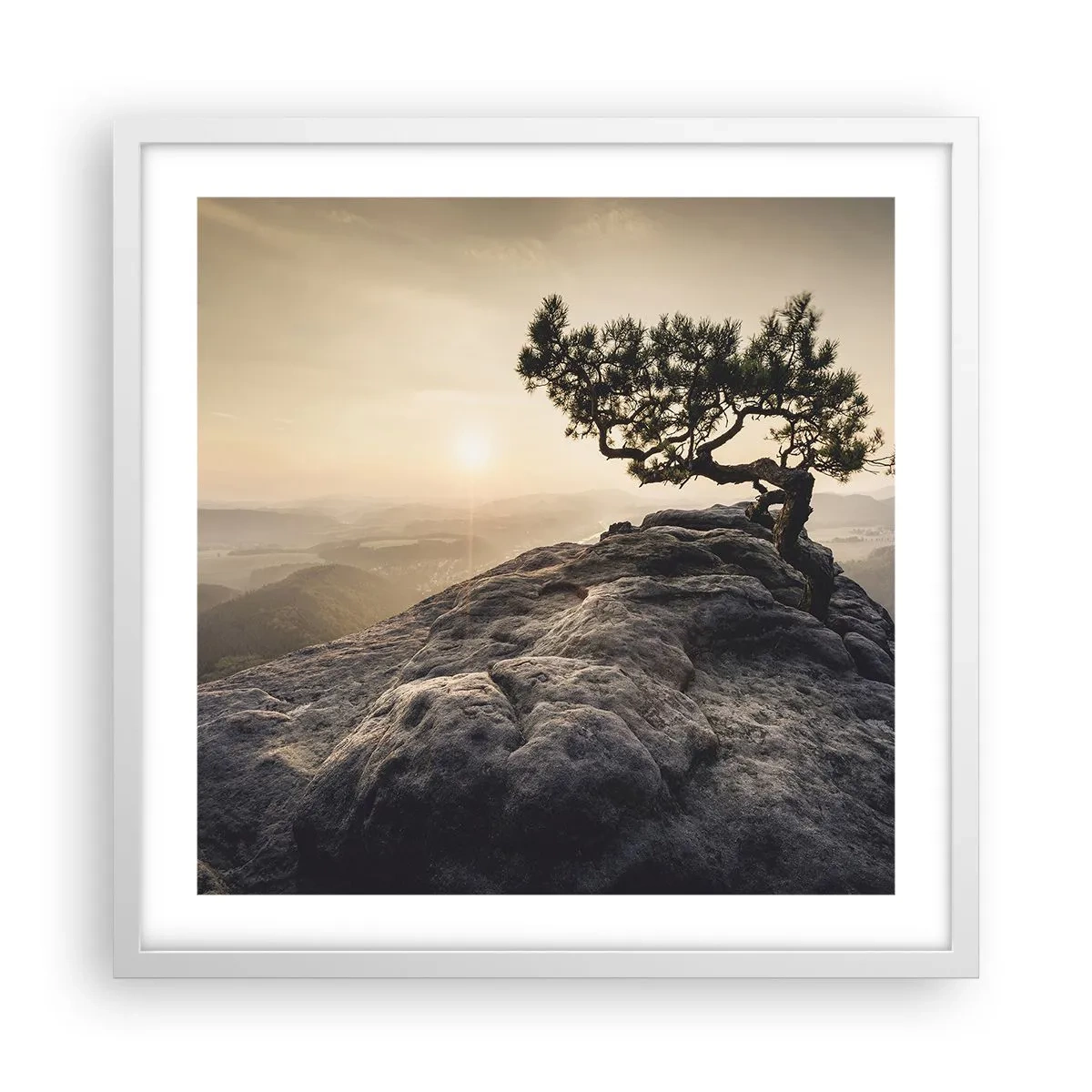 Poster in cornice bianca - La vita vince sempre - 50x50 cm